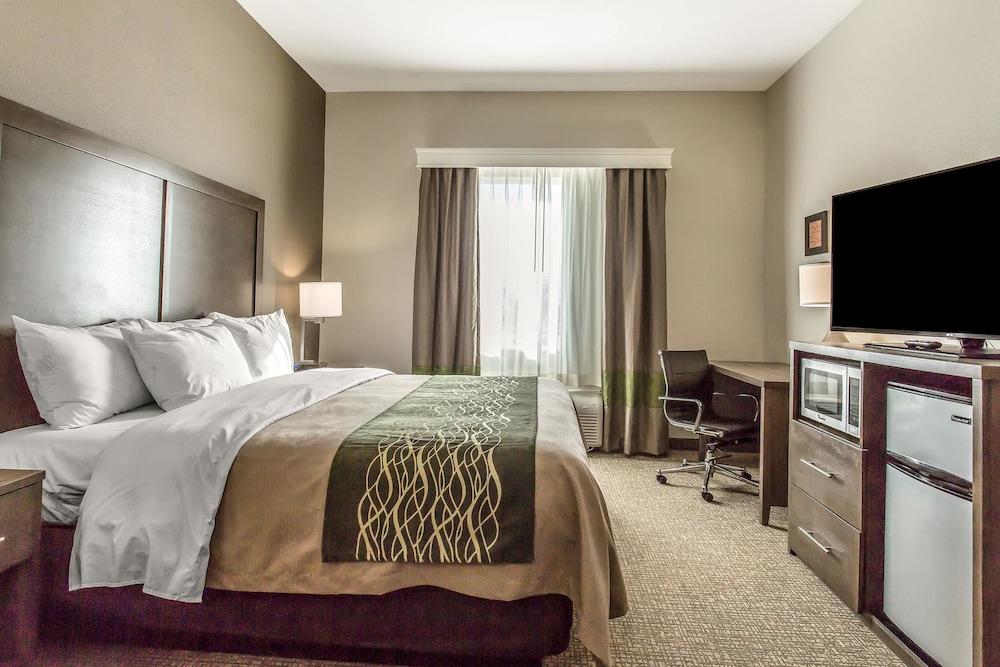 Comfort Inn & Suites Snyder Luaran gambar